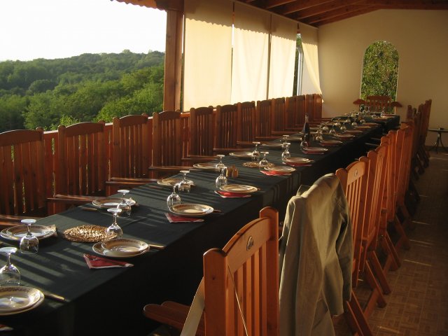finnek 2011 020